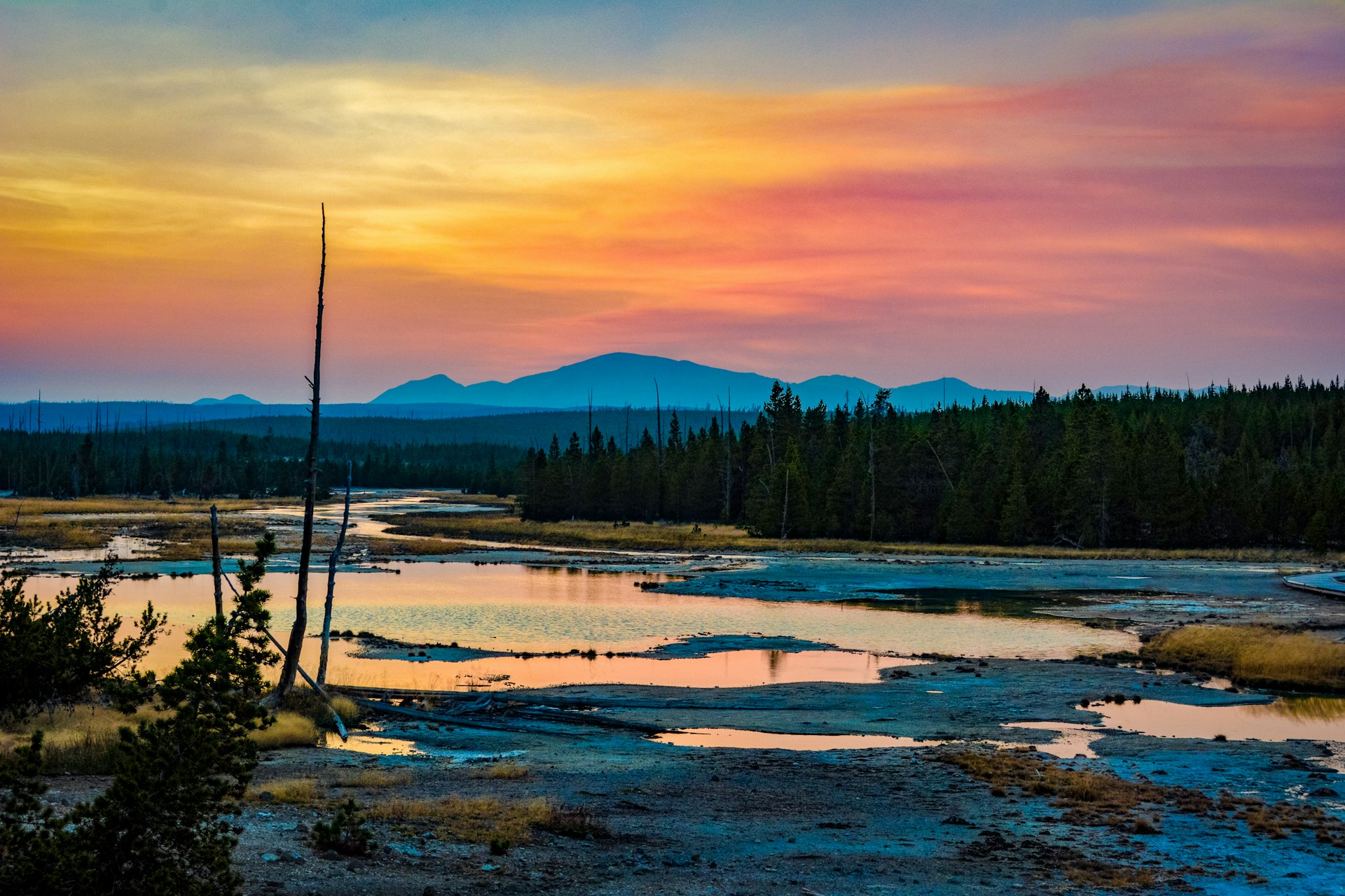Best Time to Visit Yellowstone National Park and Why