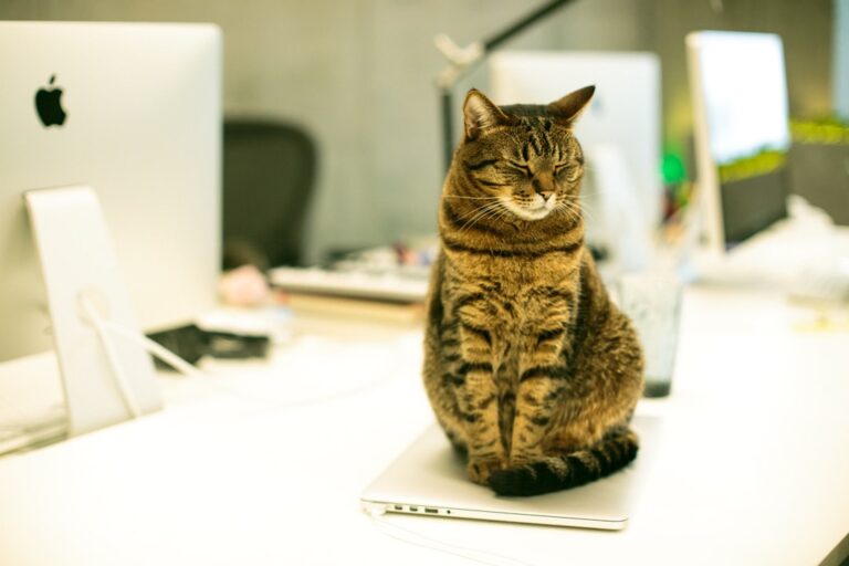 Photo Overworked employee