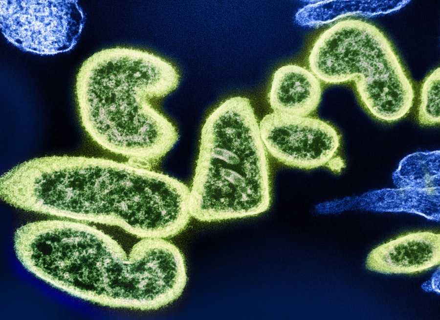 Photo Gut microbiome