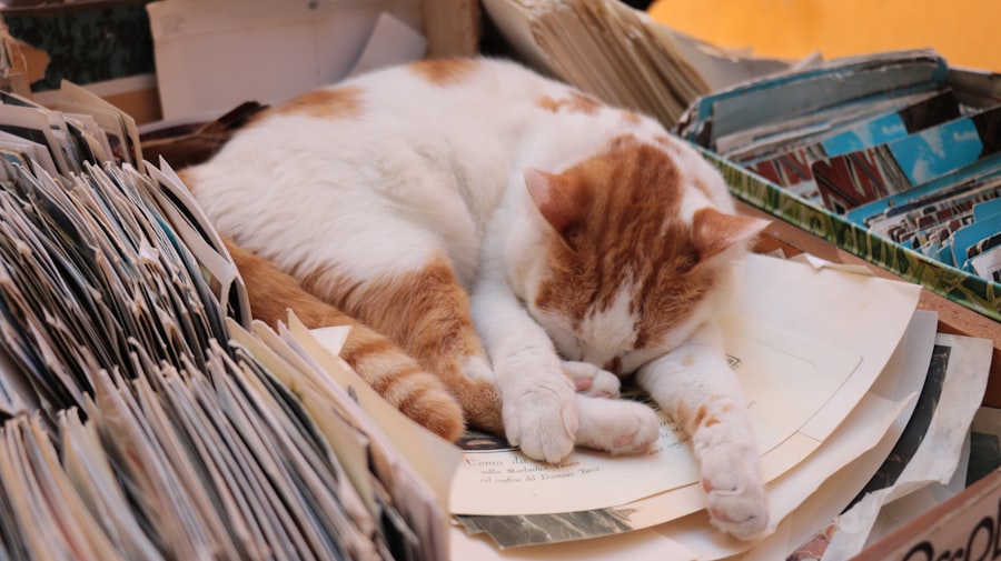 Photo Overworked employee